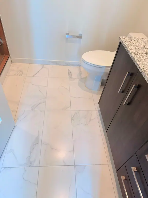 Real Canes cleaning work related to How to Remove Rust from Toilet Bowl: Methods That Work